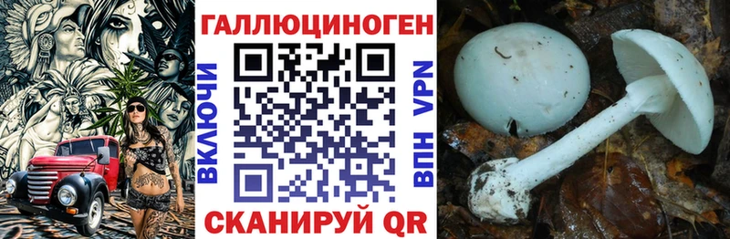Галлюциногенные грибы Magic Shrooms где продают наркотики Юрьевец